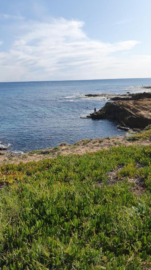 Sunny Apartament Near La Mata Beach Torrevieja Dış mekan fotoğraf