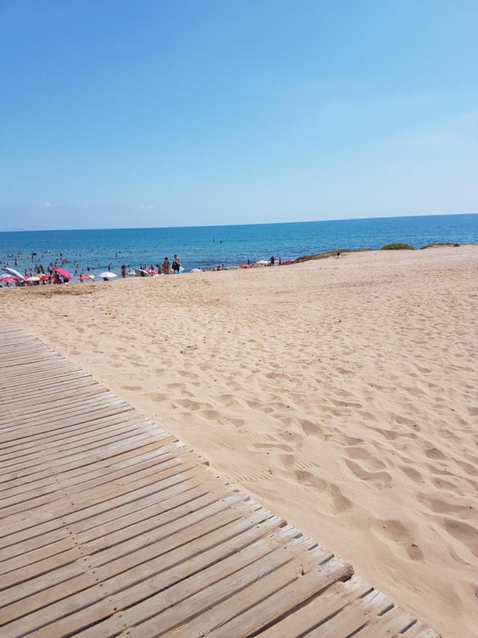 Sunny Apartament Near La Mata Beach Torrevieja Dış mekan fotoğraf